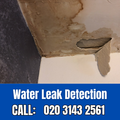 Expert Water Leak Detection Services in Warlingham | Warlingham Leak Detection